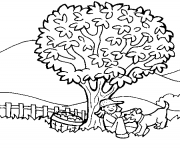 Coloriage arbre