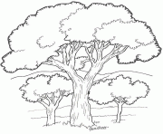 Coloriage trois arbres