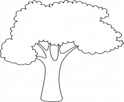 Coloriage arbre 60