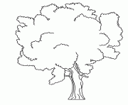 Coloriage arbre 123