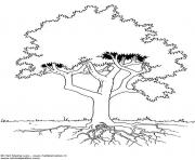 Coloriage arbre 171