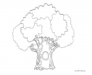 Coloriage arbre 99