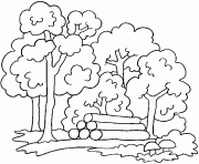 Coloriage foret et bois coupe