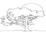 Coloriage arbre 6