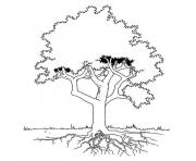 Coloriage un arbre