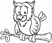 Coloriage un chouette hibou sur une branche d arbre