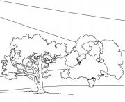 Coloriage arbre 114