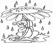 Coloriage la souris s abrite de la pluie sous une fleur