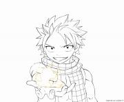 Coloriage natsu 16425