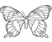 Coloriage papillon