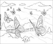 Coloriage papillon 248