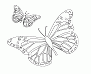 Coloriage papillon 36