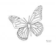 Coloriage papillon 135