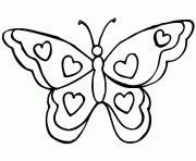 Coloriage papillon vue de dessus 3