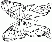 Coloriage papillon 59