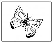 Coloriage papillon 45