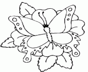 Coloriage papillon sur 1 fleur