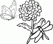 Coloriage une libellule et un papillon volent autour d une fleur