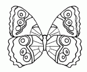 Coloriage papillon vue de dessus 2