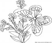 Coloriage papillon 94