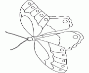 Coloriage papillon