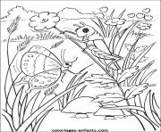 Coloriage papillon 227