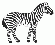 Coloriage zebre 21