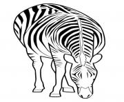 Coloriage zebre 30