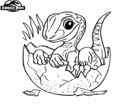 Coloriage jurassic park dinosaure 24