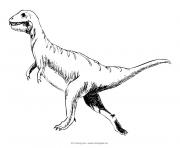 Coloriage dinosaure 300