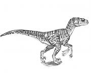 Coloriage trex jurassic park dinosaure