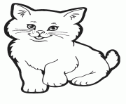 Coloriage chaton chat mignon