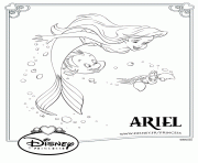 Coloriage princesse disney ariel polochon