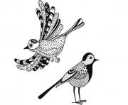 Coloriage anti stress animaux oiseaux