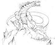 Coloriage dragon 171