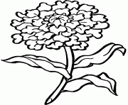 Coloriage fleur