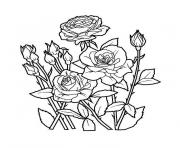 Coloriage jardin de fleurs