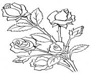 Coloriage fleur adulte