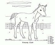 Coloriage cheval facile 145