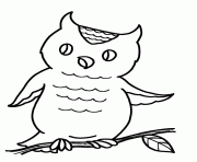 Coloriage hibou facile 22