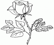 Coloriage rose et coeur 69