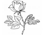 Coloriage belle rose amour