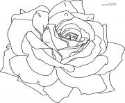 Coloriage roses 6