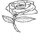 Coloriage roses 3