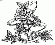 Coloriage rose avec bcp de details