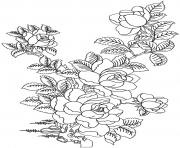 Coloriage roses 60