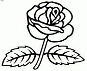 Coloriage rose enfant