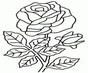 Coloriage rose et coeur 27