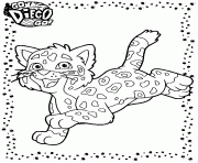 Coloriage go diego go petit tigre