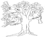 Coloriage arbre printemps maternelle